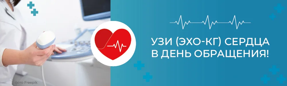 ЭХО_Монтажная область 1.jpg