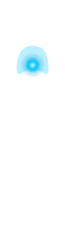 Грудь