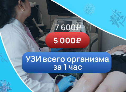 УЗИ всего организма